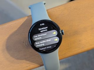 Developer options on the Google Pixel Watch 3